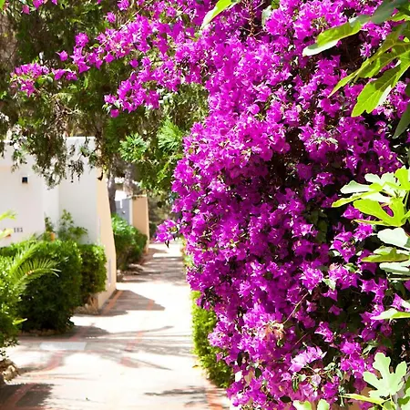 Club Cala Azul Resort